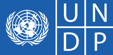 United Nations Development Programme (UNDP) Logo - Professional Track Record and Media Production Partner